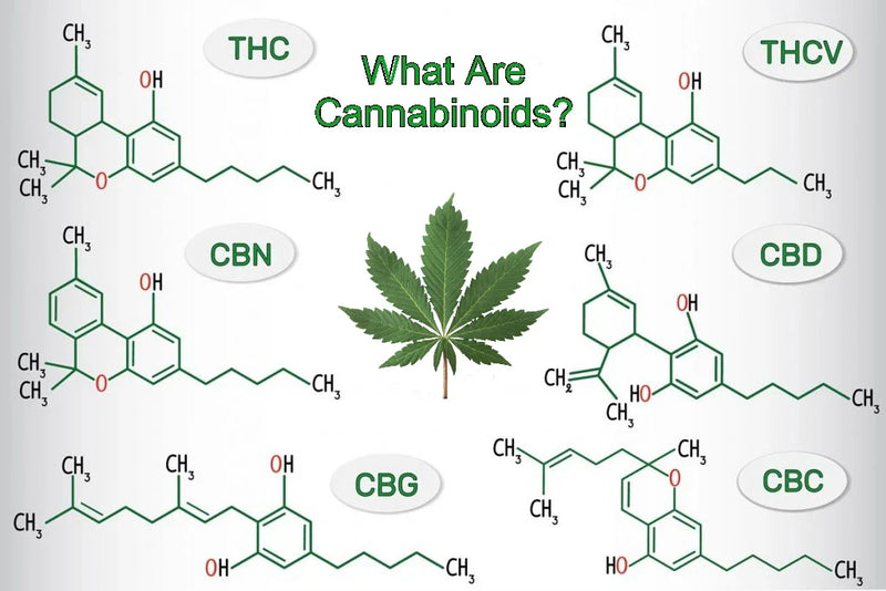 CBD, CBG, CBN & CBC: What They Are & Key Differences