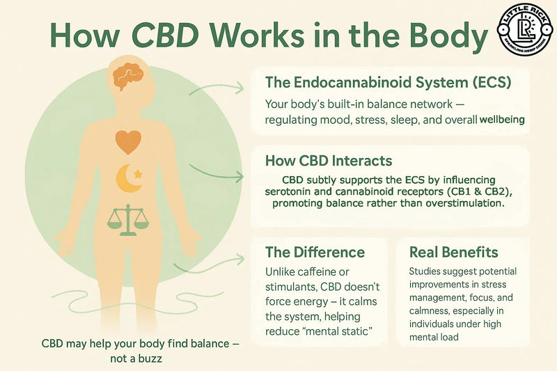CBD and Yoga