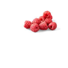 Couple of raspberries without background.